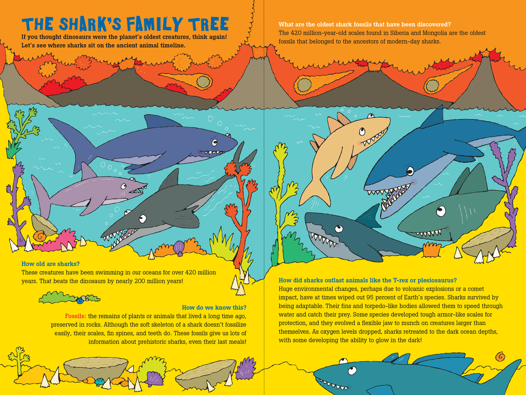 100 Questions About Sharks