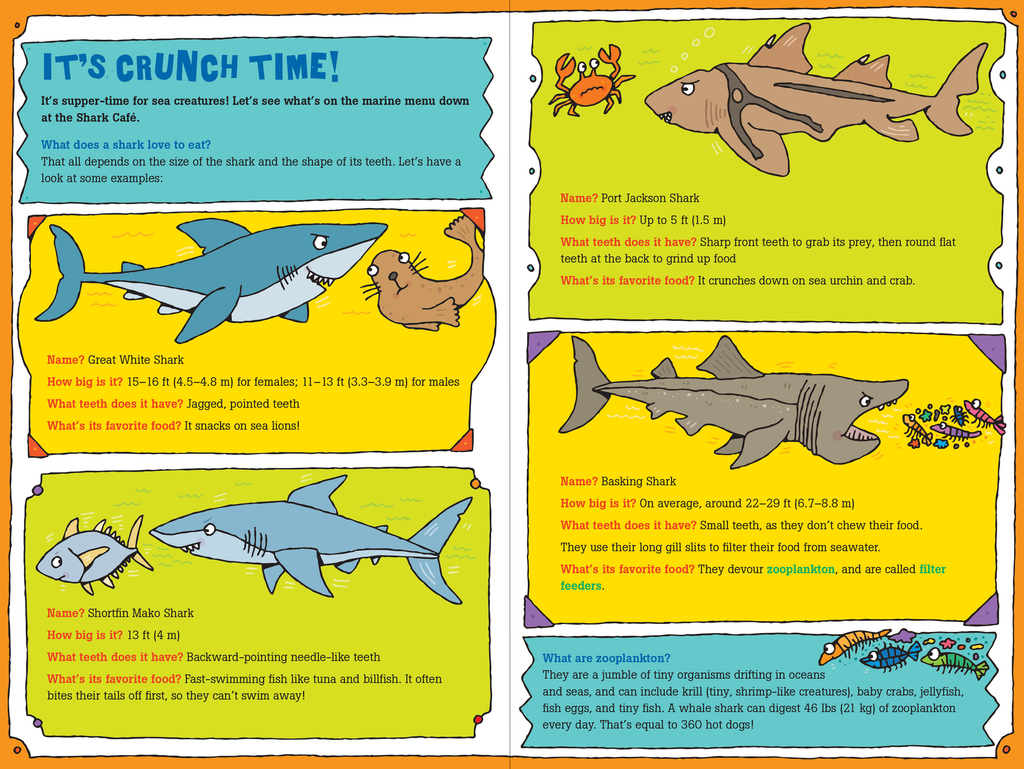 100 Questions About Sharks