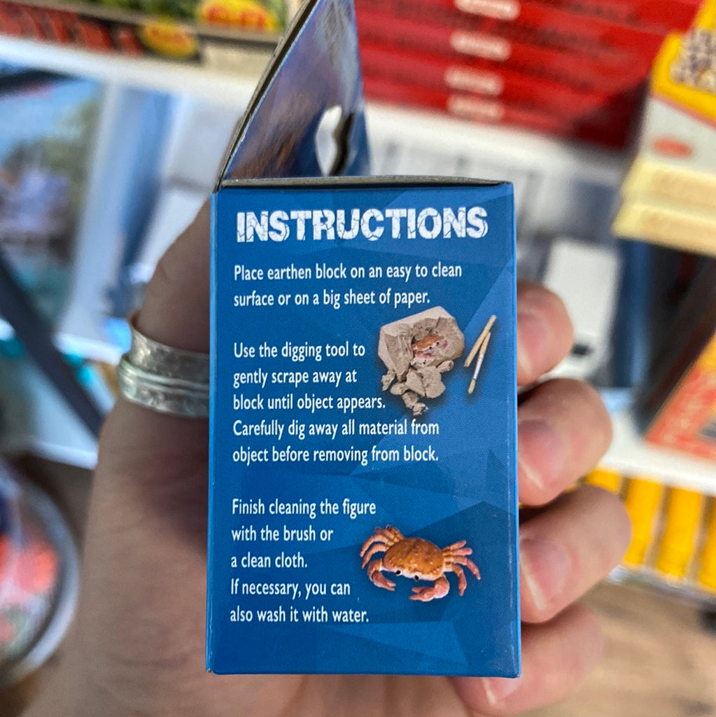 Ocean Life Dig Kit