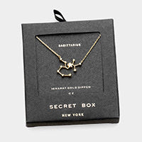 Zodiac Sign Necklace